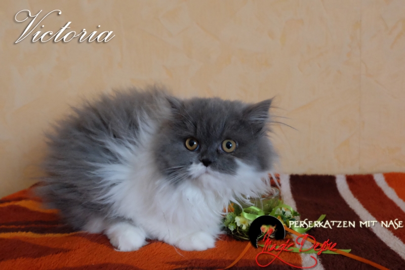 Victoria
