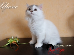 Uljano