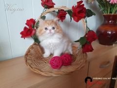20210822_Wayne