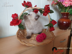 20210822_Xaver