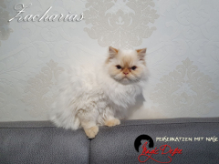 20221204_134228_resized_1