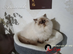 20221204_135359_resized_1