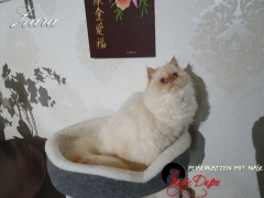 20221204_135736_resized_1