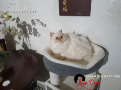 20221204_140152_resized_1