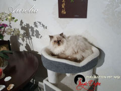 20221204_140525_resized_1